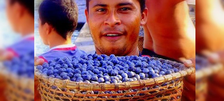 Healthiest Foods acai berries