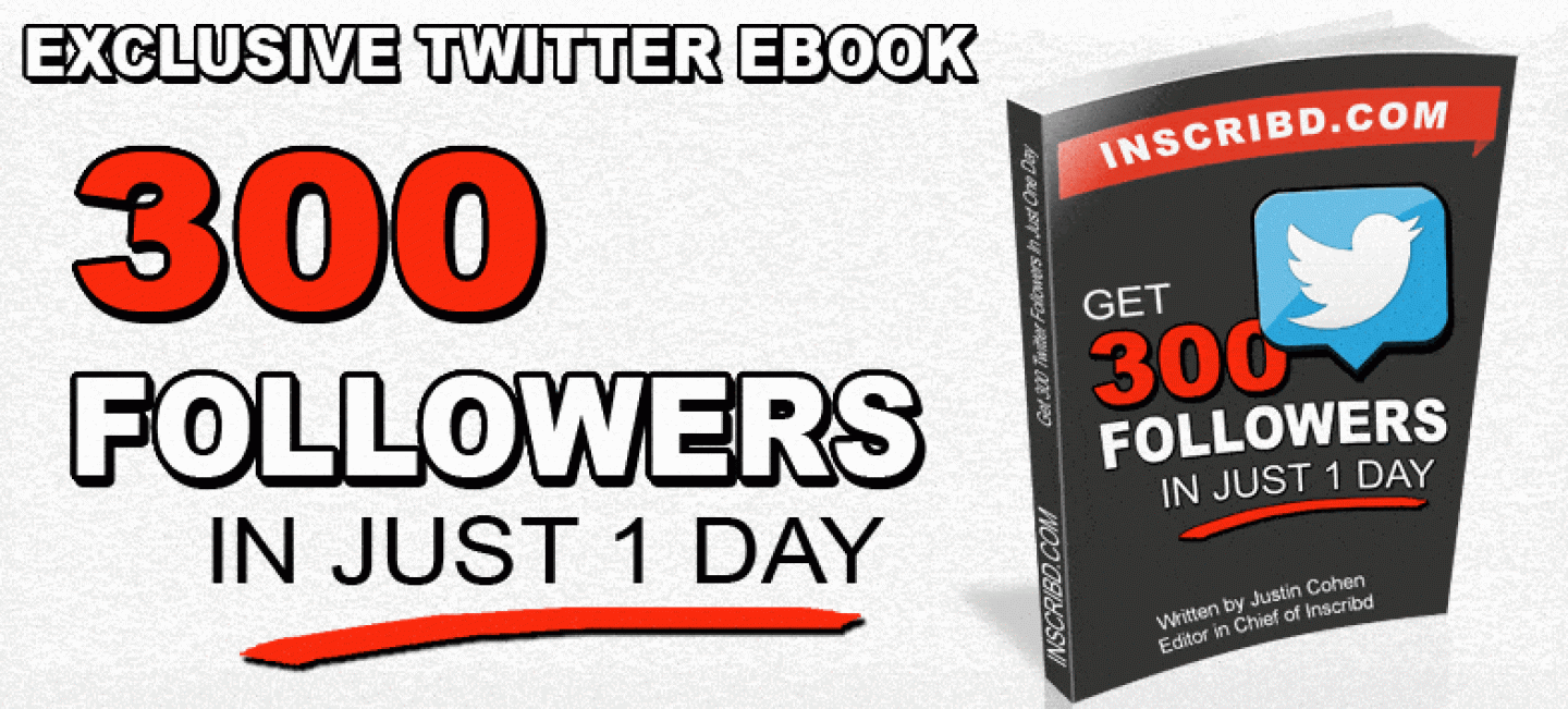 300 Twitter Followers In One Day Ebook