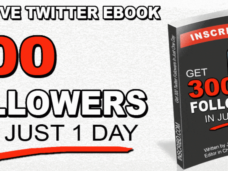 300 Twitter Followers In One Day Ebook